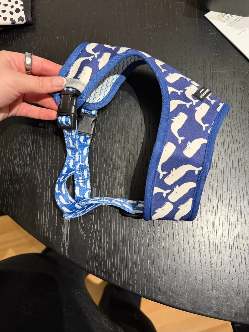 Cocopup Blue Whale Print Dog Harness